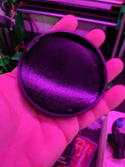 Cat Food Lid