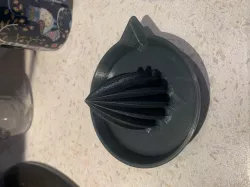 Citrus juicer