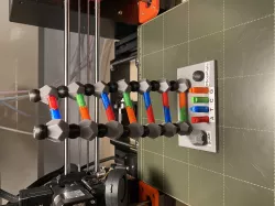 DNA Model