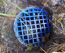 Drain cover