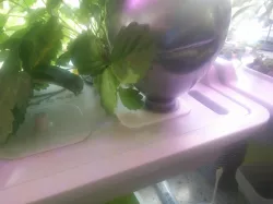 Extension fits Ikea VÄXER hydroponic system