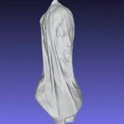 Female Face