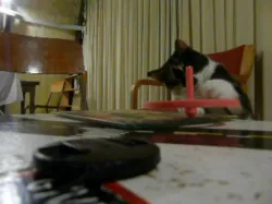 Flat Spinning Top
