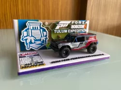 Hotwheels Ford Bronco R Forza Horizon 5 Theme Display Base