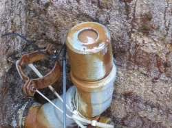 HT50 Venting Valve