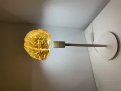 Human brain LED RGB desk lamp