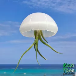 Jellyfish air plant holder