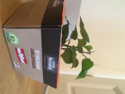 Just another Flower Pot