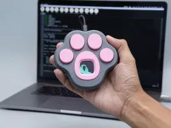 Kitty Paw Keypad with Color TFT