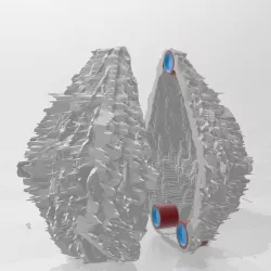 Mega seed
