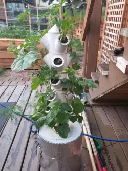 Modular Hydroponic Tower Garden