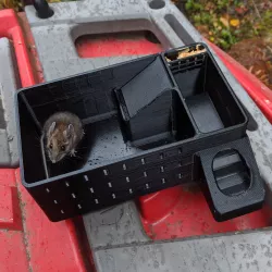 Multi catch mouse live trap