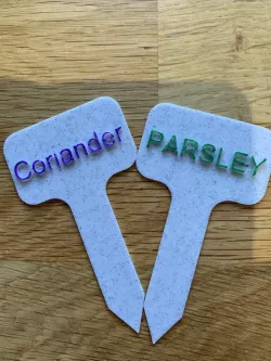 Parsley and Coriander