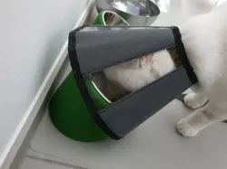 Pet Bowl Riser