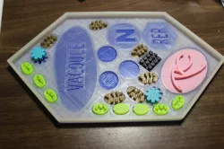 Plant Cell Puzzle