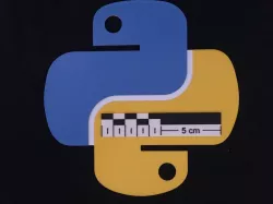 Python Logo 2D