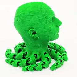 Saul Octopus