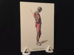 Simple Photo / Postcard / 2D Holder