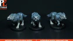 Wolf Snarling 1