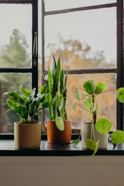 4x3.5in Simple Pot