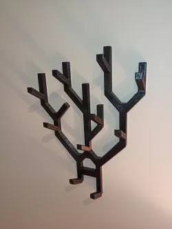 Aesthetic Wall Organizer