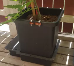 AutoPot PlantSign and SignHolder
