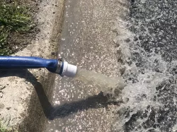 Backwash Hose Coupling