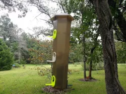 Bird feeder cup