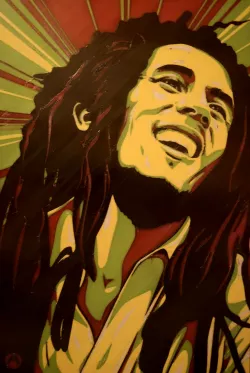 Bob Marley Picture Multicolor