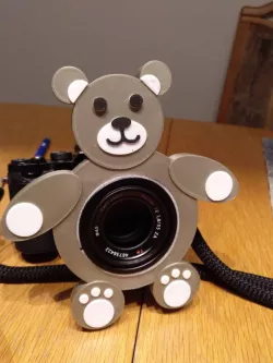 CameraBuddyBear