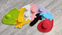 Chameleon puzzle