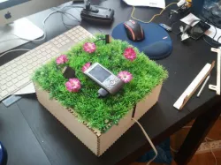 Charging Lawn