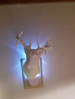 Deer Mount Nightlight Remix