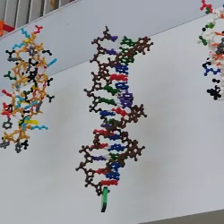 DNA building kit