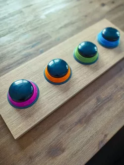 Dog BUZZER Frame