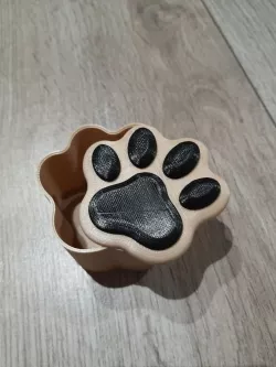 Dog Paw Box / Container