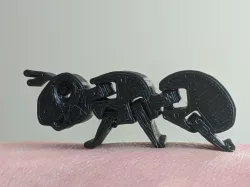 Flexi Ant