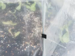 Garden row cover fabric clip