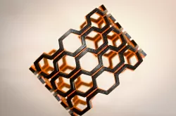 Hive Bracelet