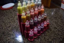 Holder for 24 squeeze paint bottles