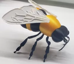 HoneyBee by 3DBuzzStudios