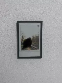 Instax Polaroid frame