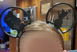 Interchangeable Mickey Ears