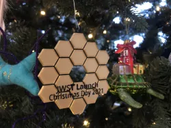 James Webb Christmas Decoration