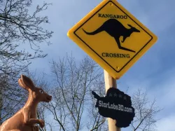 Kangaroo Crossing Sign