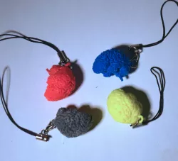 Keyring pendant human brain.