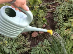 Kropička na malou konev \ Sprinkler on a small watering can