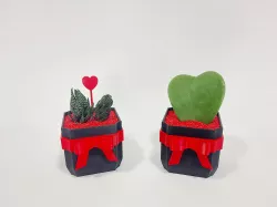 Love Gift pot