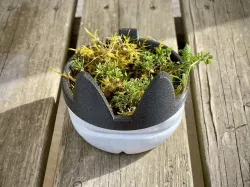 Moss Cat