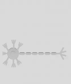 Neuron